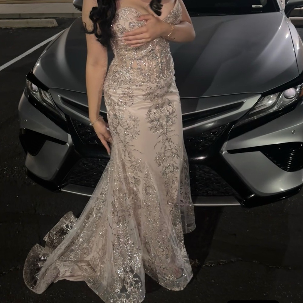 Elegant Silver Embellished Gown